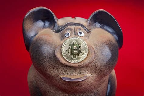 coin piggy bank|piggy bank coin crypto.